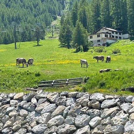 Le 1888 Val D'isere Lejlighed *